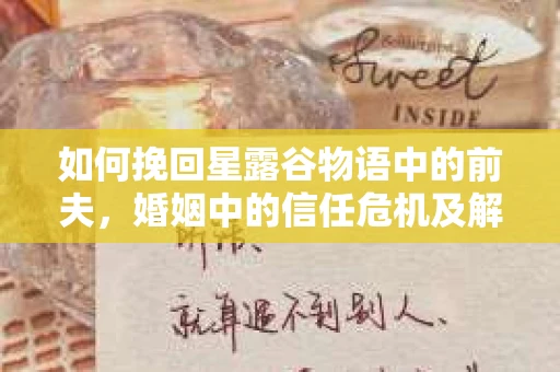 如何挽回星露谷物语中的前夫，婚姻中的信任危机及解决之道