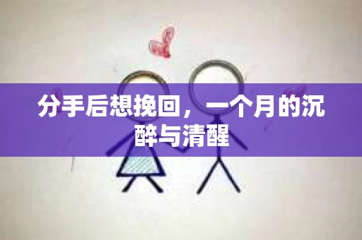 分手后想挽回，一个月的沉醉与清醒