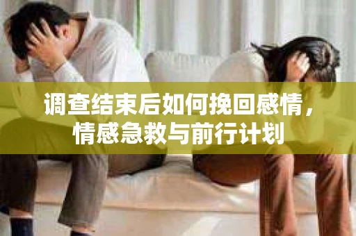 调查结束后如何挽回感情，情感急救与前行计划