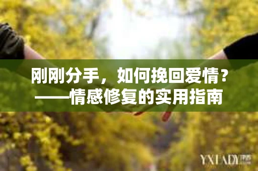 刚刚分手，如何挽回爱情？——情感修复的实用指南