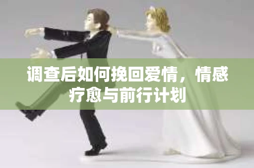 调查后如何挽回爱情，情感疗愈与前行计划