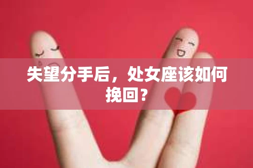 失望分手后，处女座该如何挽回？