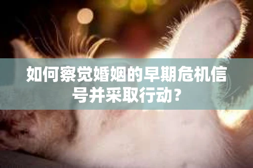 如何察觉婚姻的早期危机信号并采取行动？