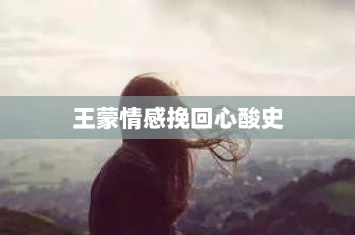 王蒙情感挽回心酸史