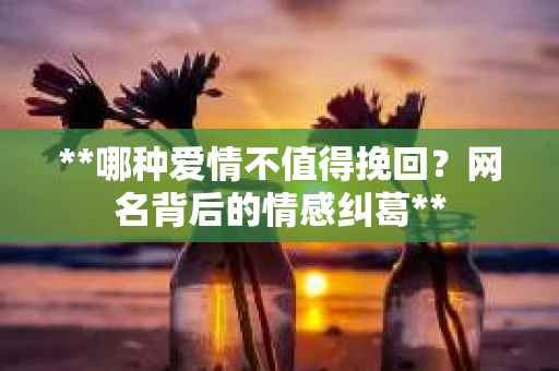 **哪种爱情不值得挽回？网名背后的情感纠葛**