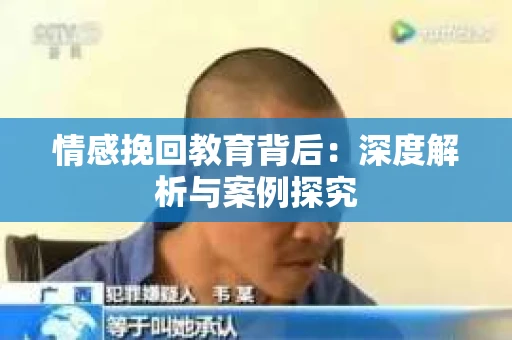 情感挽回教育背后：深度解析与案例探究