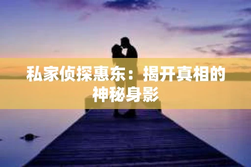 私家侦探惠东：揭开真相的神秘身影