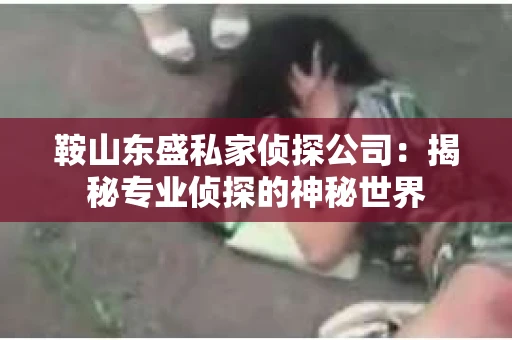 鞍山东盛私家侦探公司：揭秘专业侦探的神秘世界