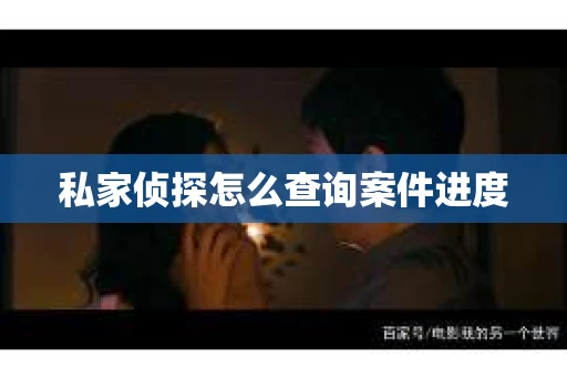 私家侦探怎么查询案件进度
