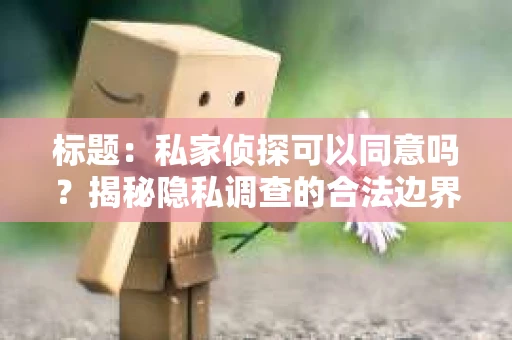 标题：私家侦探可以同意吗？揭秘隐私调查的合法边界