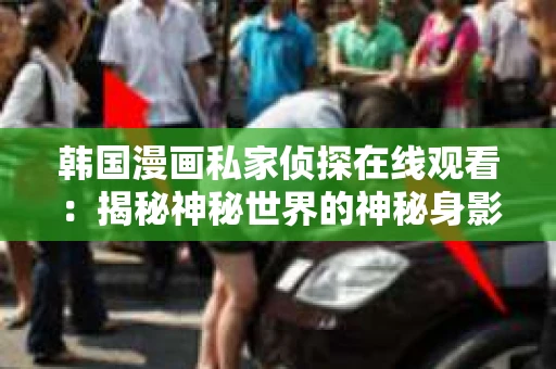 韩国漫画私家侦探在线观看：揭秘神秘世界的神秘身影