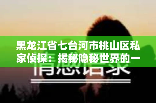 黑龙江省七台河市桃山区私家侦探：揭秘隐秘世界的一把钥匙