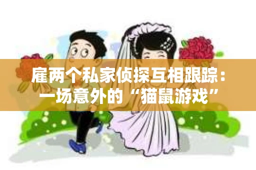 雇两个私家侦探互相跟踪：一场意外的“猫鼠游戏”