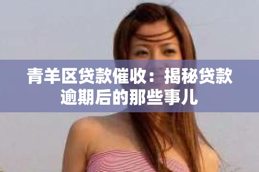 青羊区贷款催收：揭秘贷款逾期后的那些事儿