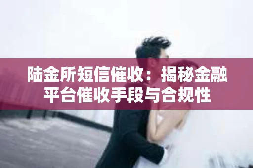 陆金所短信催收：揭秘金融平台催收手段与合规性