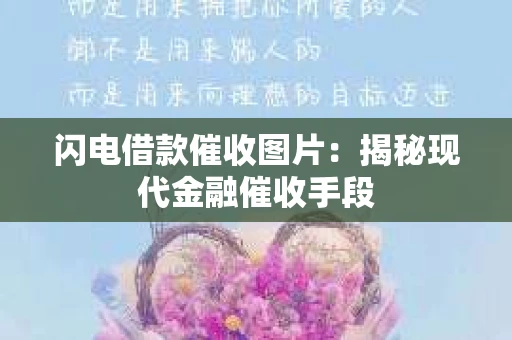 闪电借款催收图片：揭秘现代金融催收手段