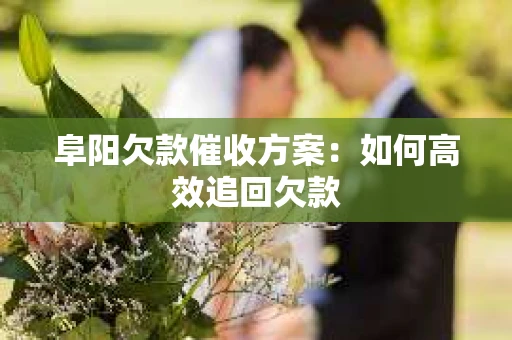 阜阳欠款催收方案：如何高效追回欠款