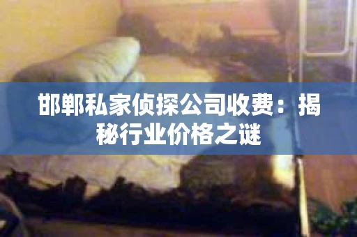 邯郸私家侦探公司收费：揭秘行业价格之谜