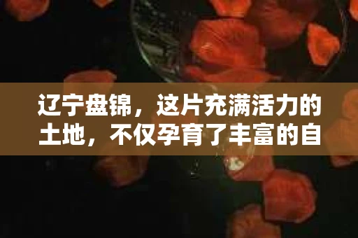 辽宁盘锦，这片充满活力的土地，不仅孕育了丰富的自然资源，也孕育了众多为生活奔波的人们。在这个快节奏的时代，有些人可能会遇到一些棘手的问题，这时候，一个可靠的私家侦探就能成为他们的得力助手。今天，我们就来聊聊辽宁盘锦本地的私家侦探，看看他们是如何在日常生活中发挥作用的。