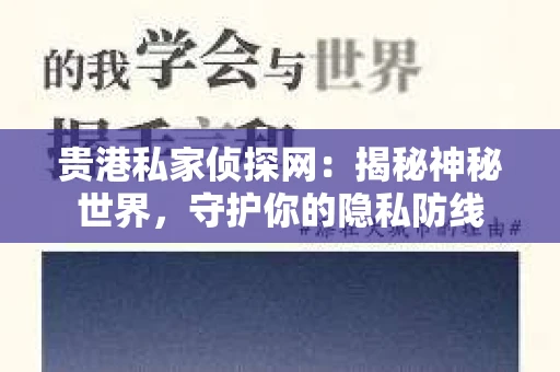 贵港私家侦探网：揭秘神秘世界，守护你的隐私防线