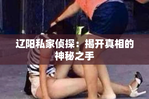 辽阳私家侦探：揭开真相的神秘之手