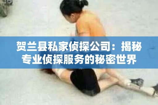 贺兰县私家侦探公司：揭秘专业侦探服务的秘密世界