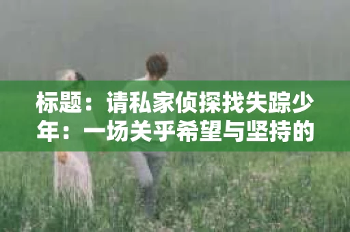标题：请私家侦探找失踪少年：一场关乎希望与坚持的寻人之旅