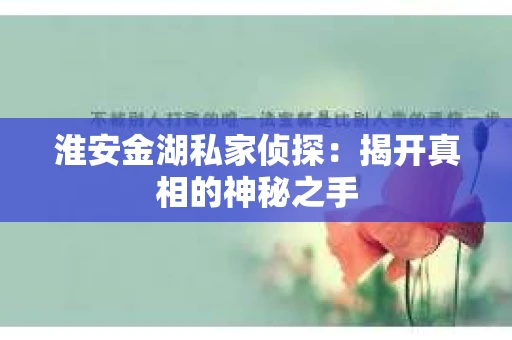 淮安金湖私家侦探：揭开真相的神秘之手