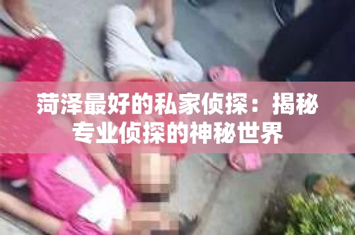 菏泽最好的私家侦探：揭秘专业侦探的神秘世界