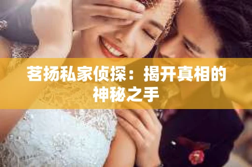 茗扬私家侦探：揭开真相的神秘之手