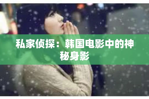 私家侦探：韩国电影中的神秘身影