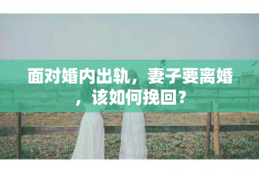面对婚内出轨，妻子要离婚，该如何挽回？