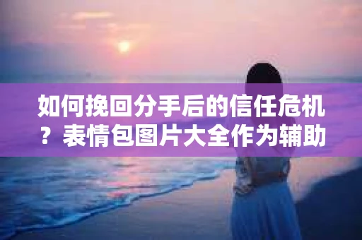 如何挽回分手后的信任危机？表情包图片大全作为辅助工具怎么办？
